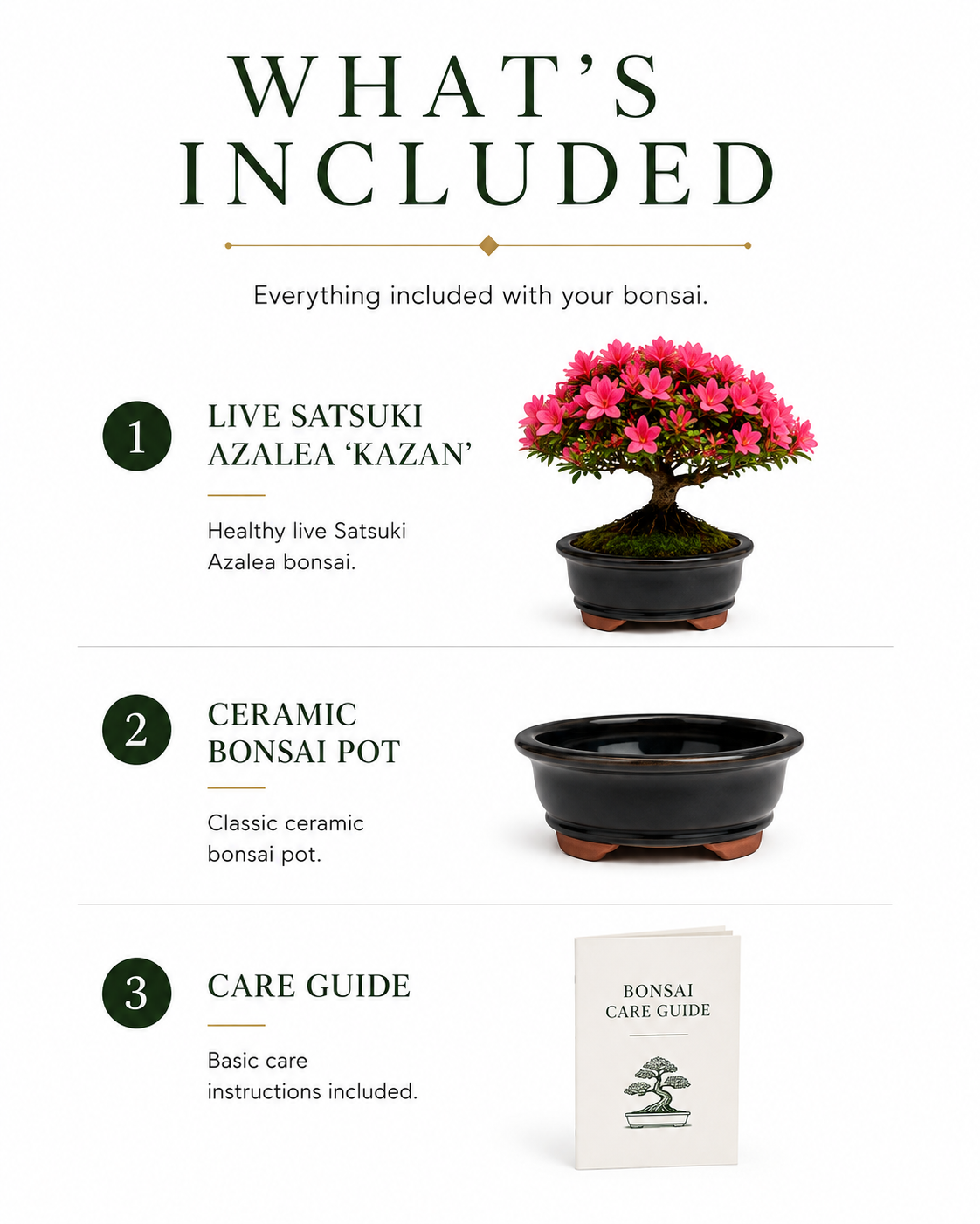 TODOROKI Satsuki Azalea Bonsai ‘Kazan’