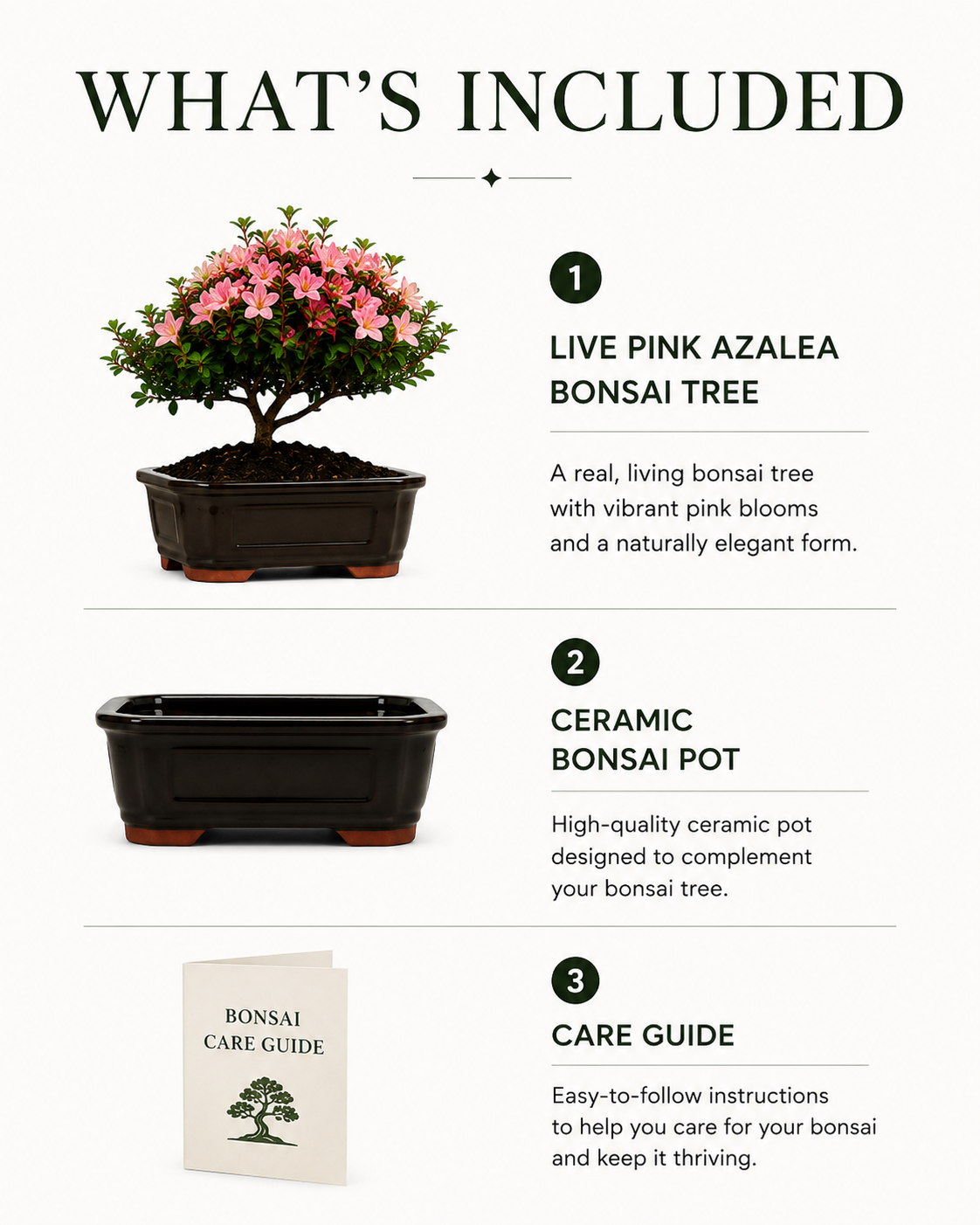 TODOROKI Pink Azalea Bonsai Tree