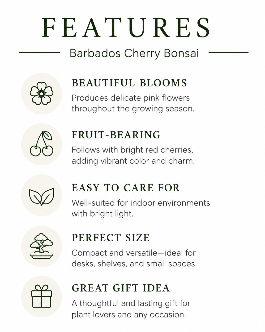 Barbados Cherry Bonsai