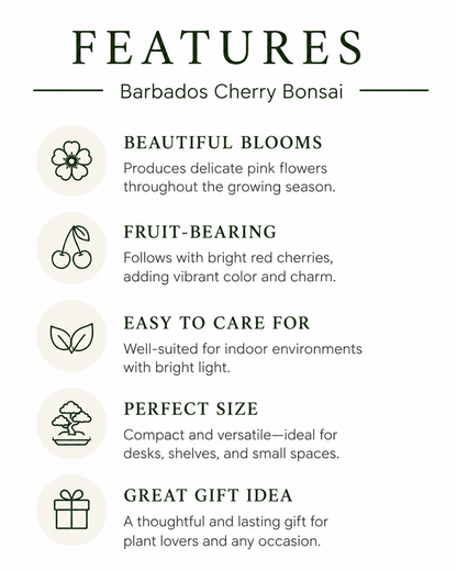Barbados Cherry Bonsai