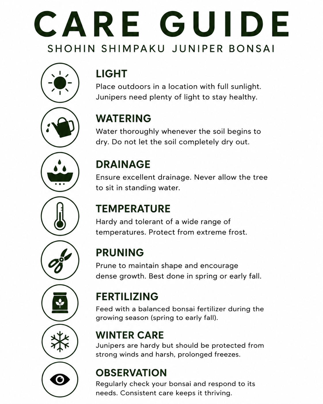 TODOROKI Shohin Shimpaku Juniper Bonsai