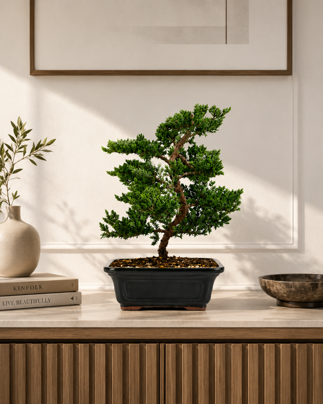 TODOROKI Trained Juniper Bonsai Tree