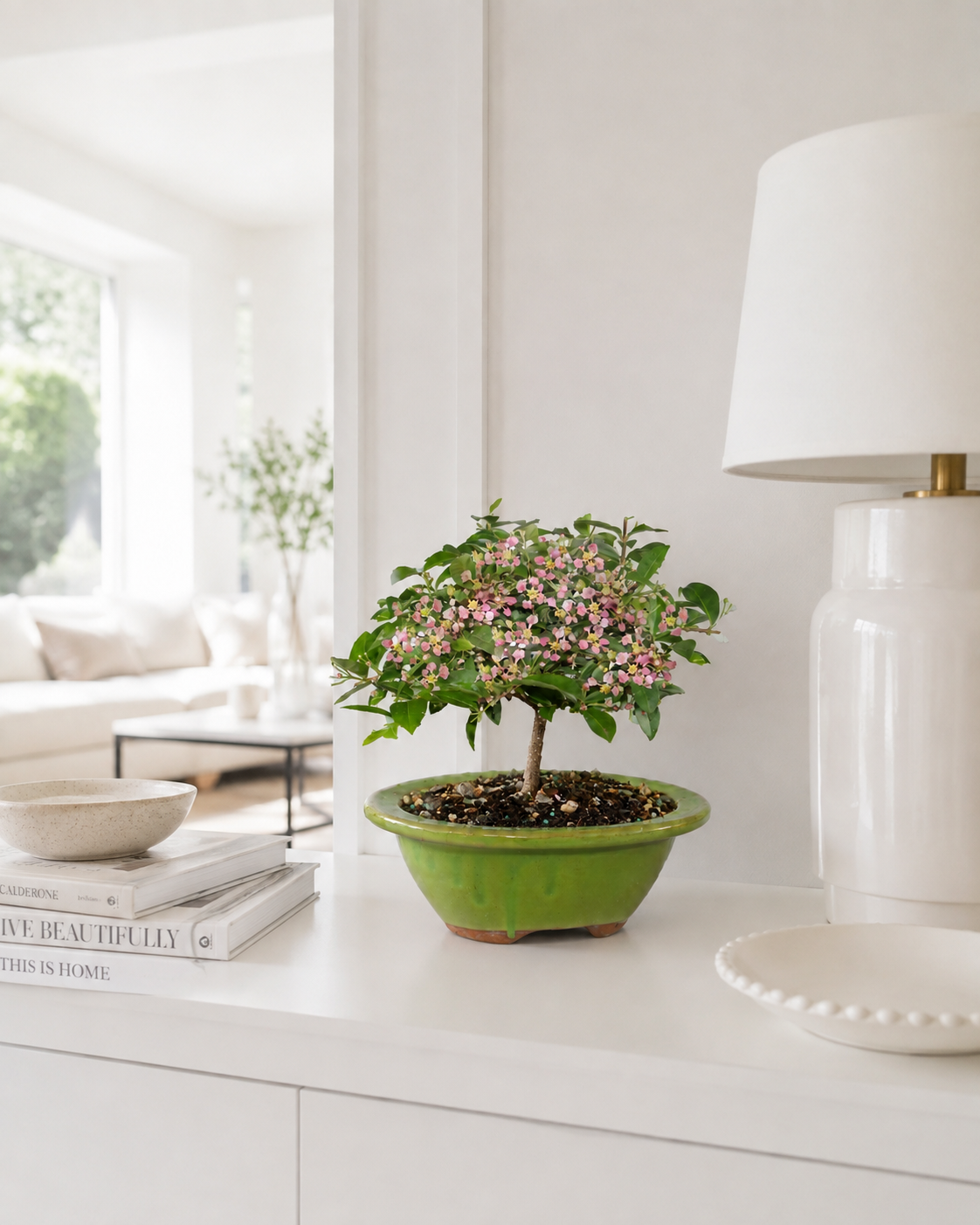 Barbados Cherry Bonsai