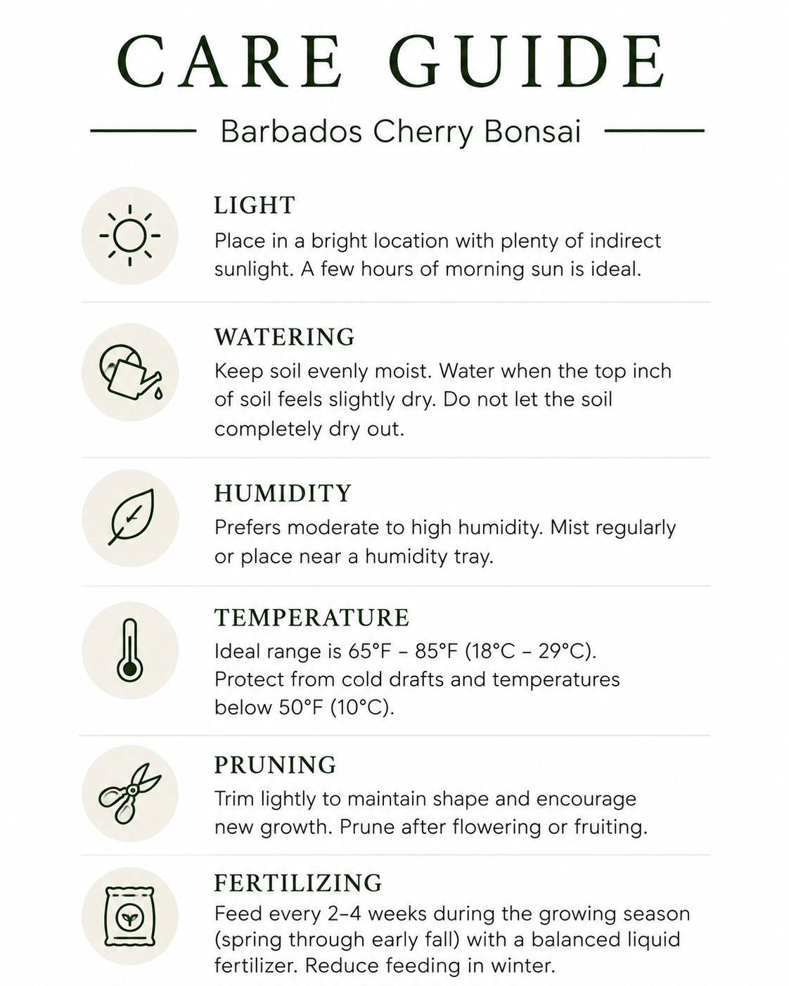 Barbados Cherry Bonsai