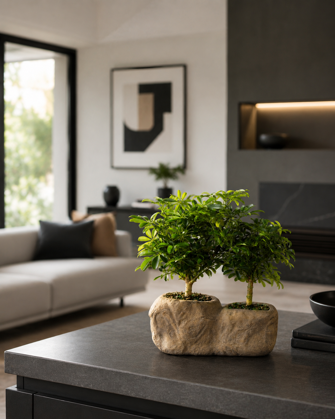 Hawaiian Umbrella Bonsai in Rock Pot