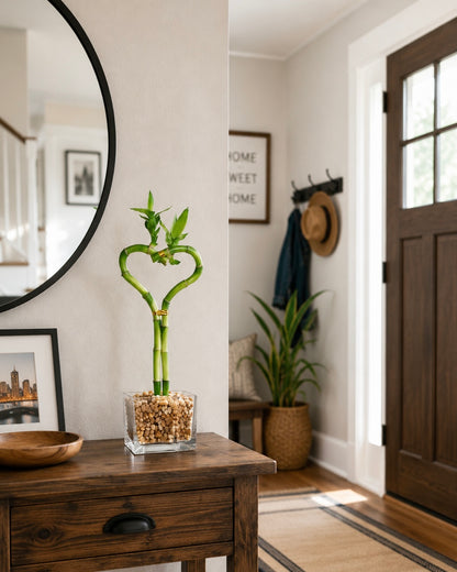 Heart Shaped Lucky Bamboo Bonsai