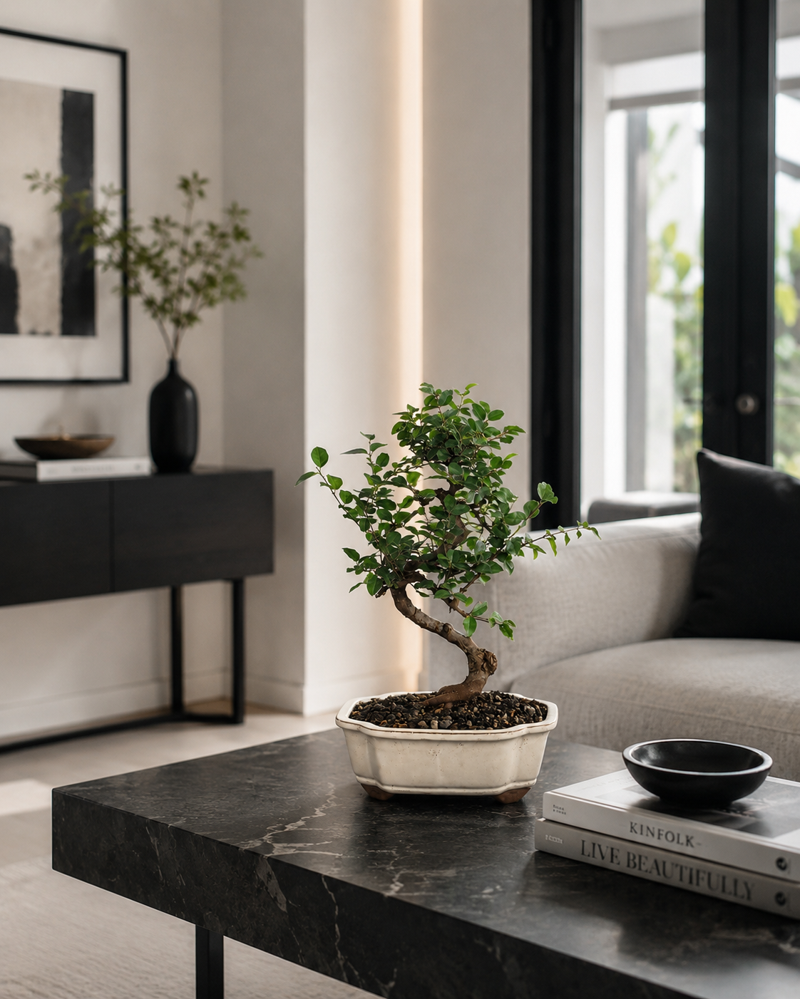 Chinese Sweet Plum Bonsai Tree