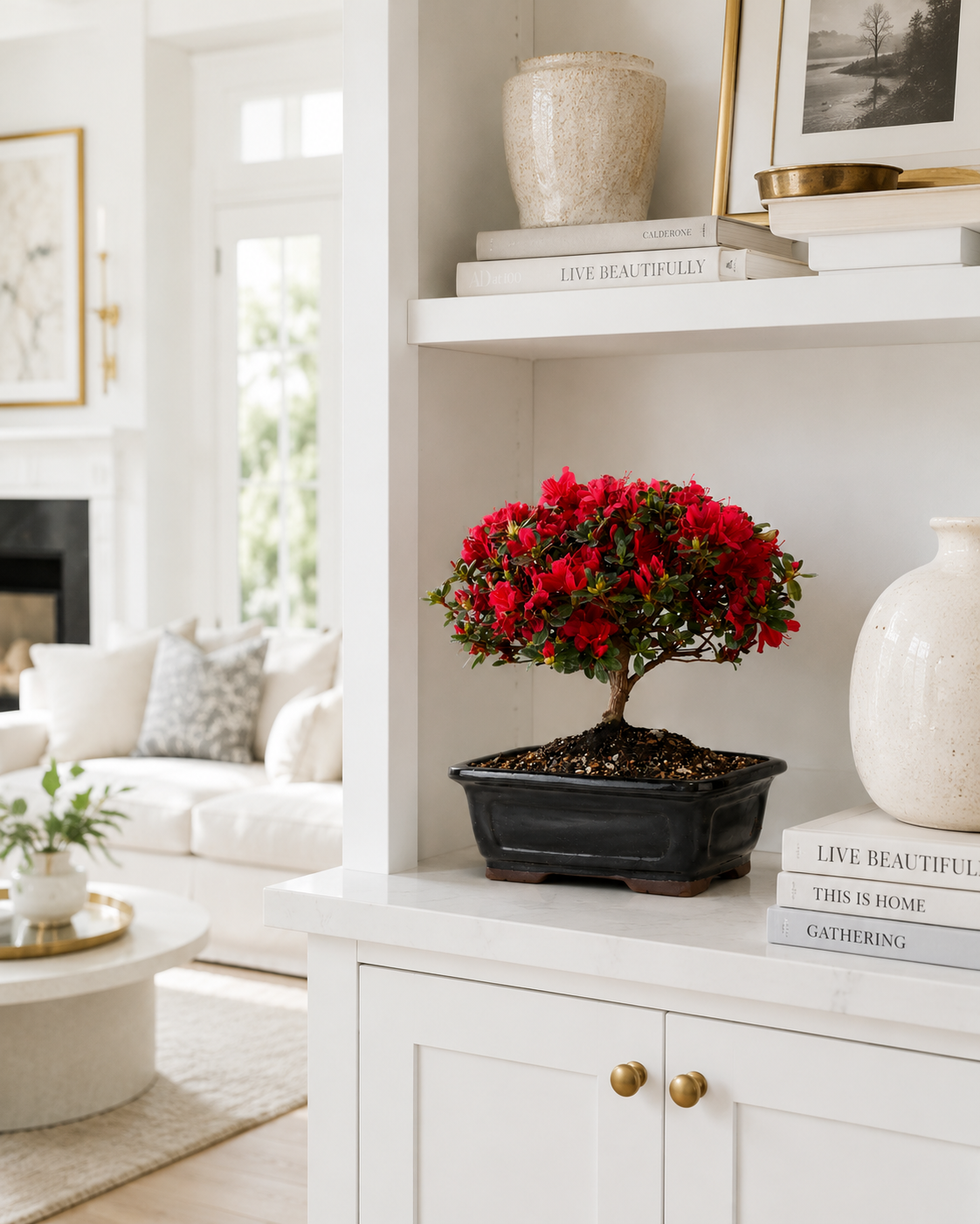 TODOROKI Red Flowering Azalea Bonsai Tree