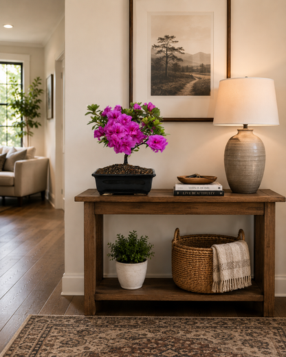 TODOROKI Purple Azalea Bonsai Tree