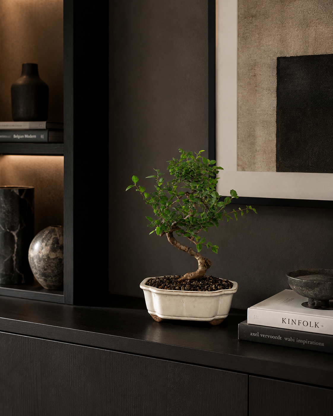 Chinese Sweet Plum Bonsai Tree