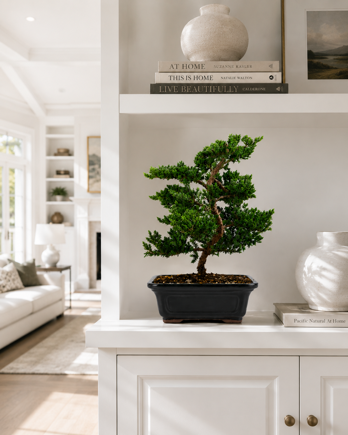 TODOROKI Trained Juniper Bonsai Tree