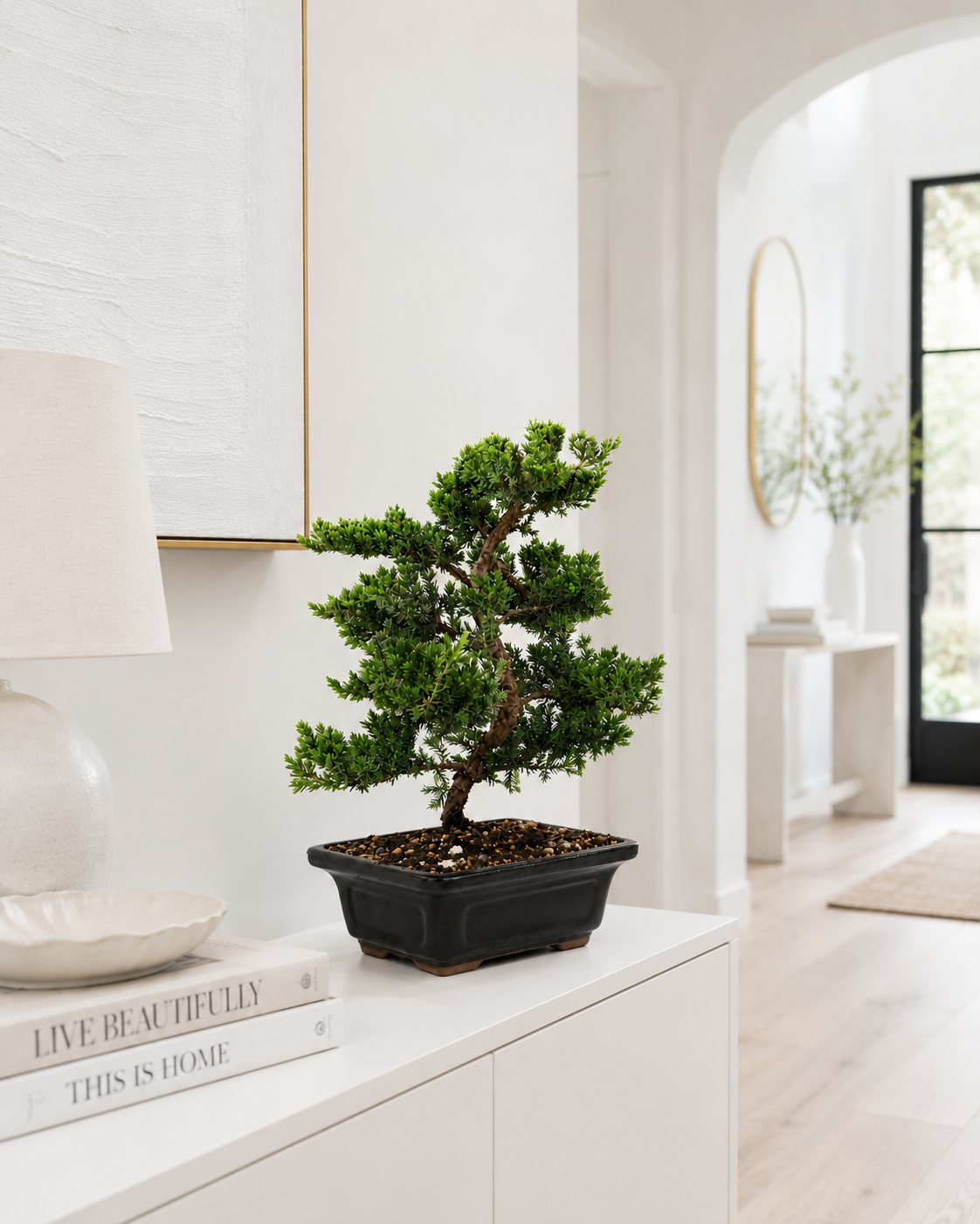 Trained Juniper Bonsai Tree