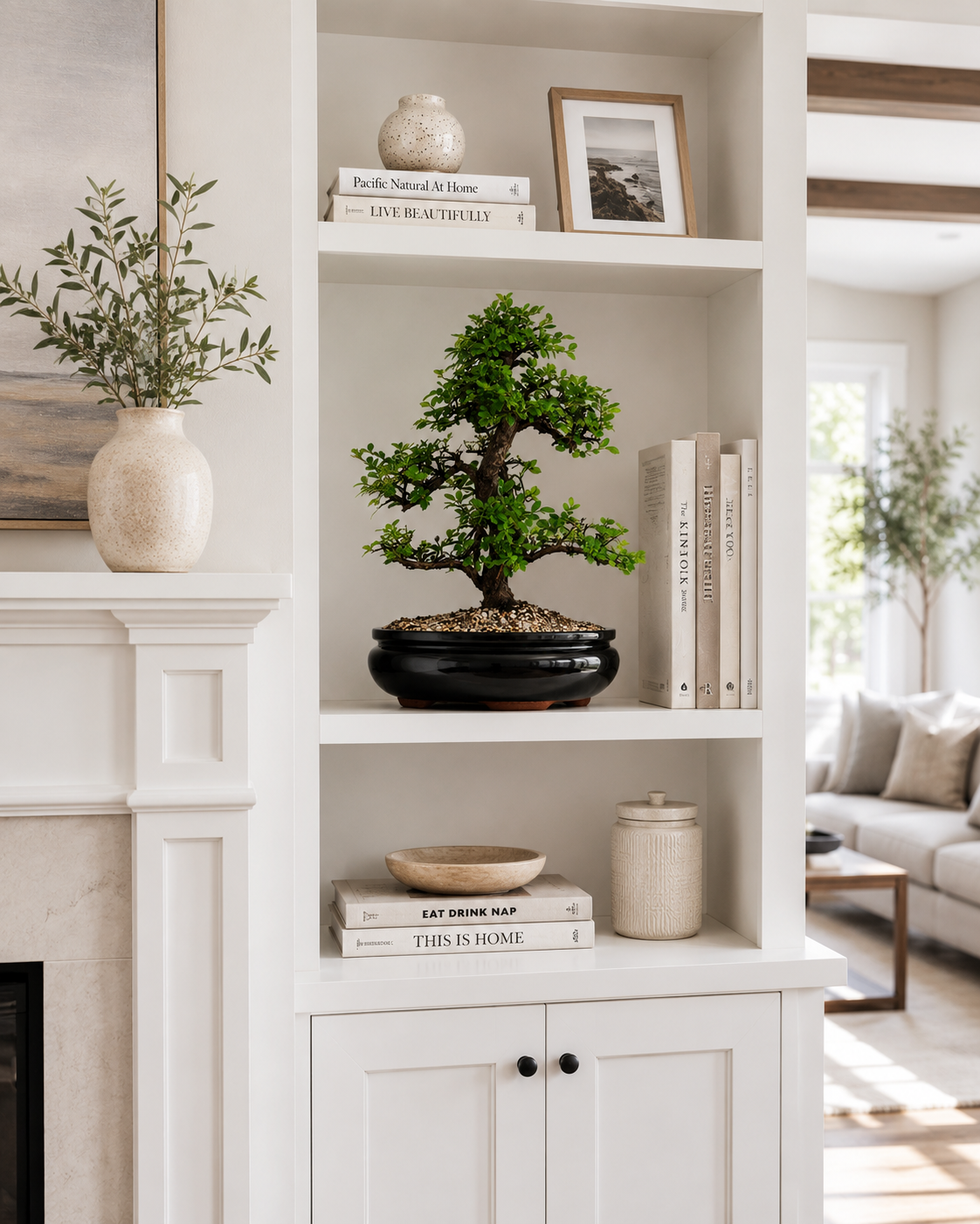 TODOROKI Large Chinese Elm Bonsai Tree